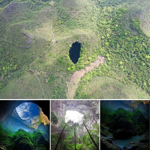 Scientists Discover Giant Sinkhole With Primeval ‘Lost World’ Inside