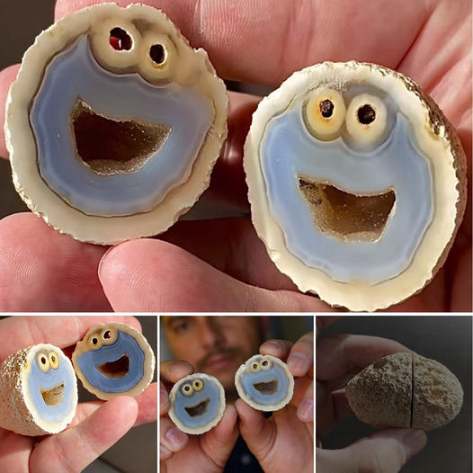 Incredibly Rare Agate Rock Looks Exactly Like Cookie Monster from Sesame Street