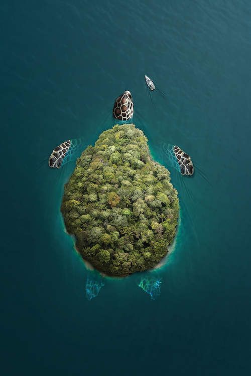 Enchanting Turtle Isles: Guardians of the Ocean’s Beauty and Wonder